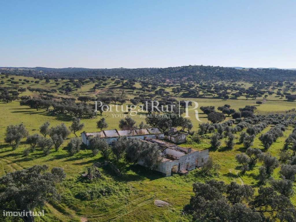 Herdade de 18 hectares perto de Estremoz-28