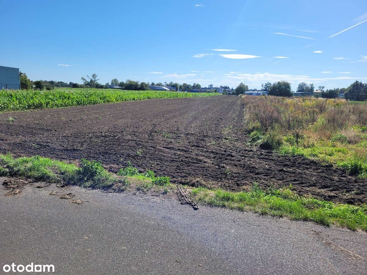 Działka z planem zagospodarowania - budowa Hali 400m - Pełny obrazek: 2/6