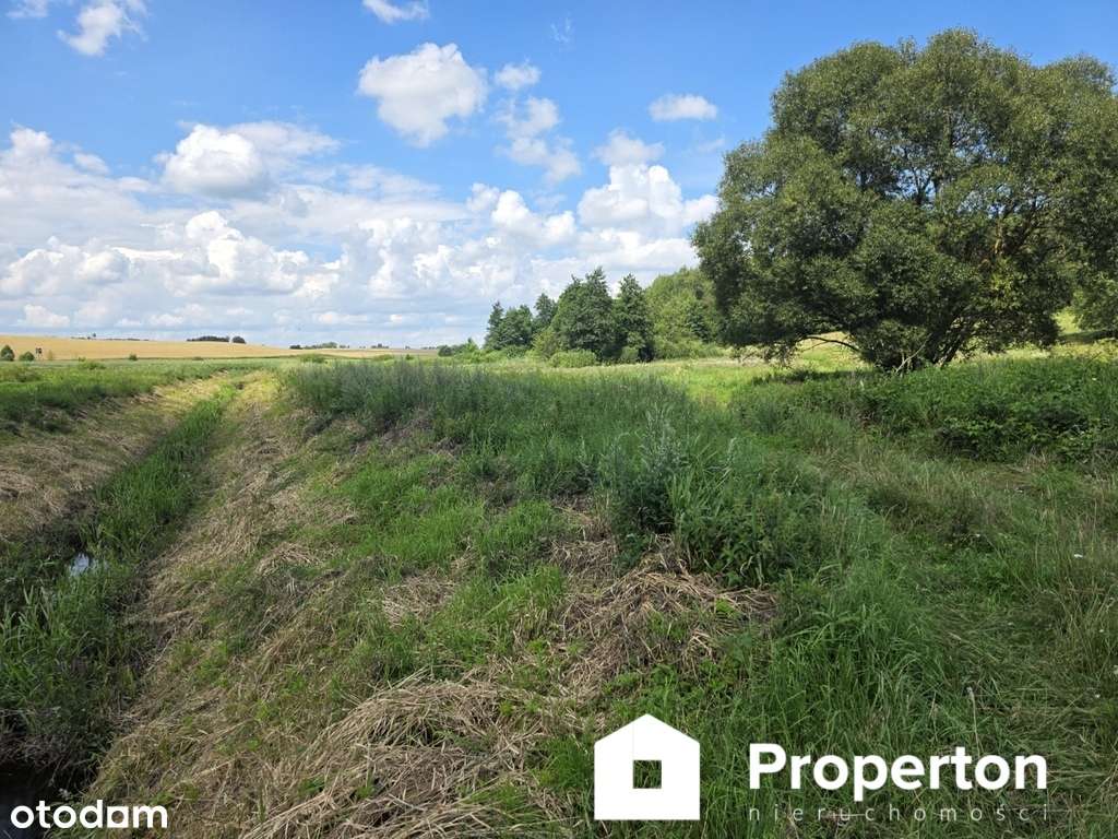 Na sprzedaż działka 1,3 ha – Warmia, Miłogórze - Pełny obrazek: 5/5