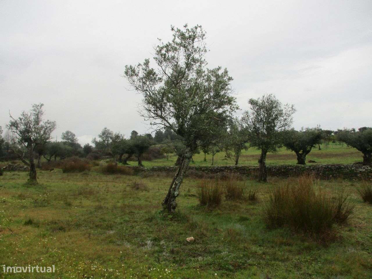 Terreno - Grande imagem: 5/8