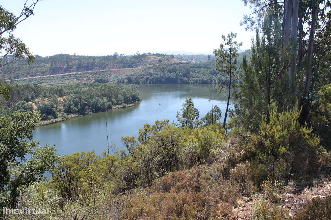 Herdade à venda em Penacova-14