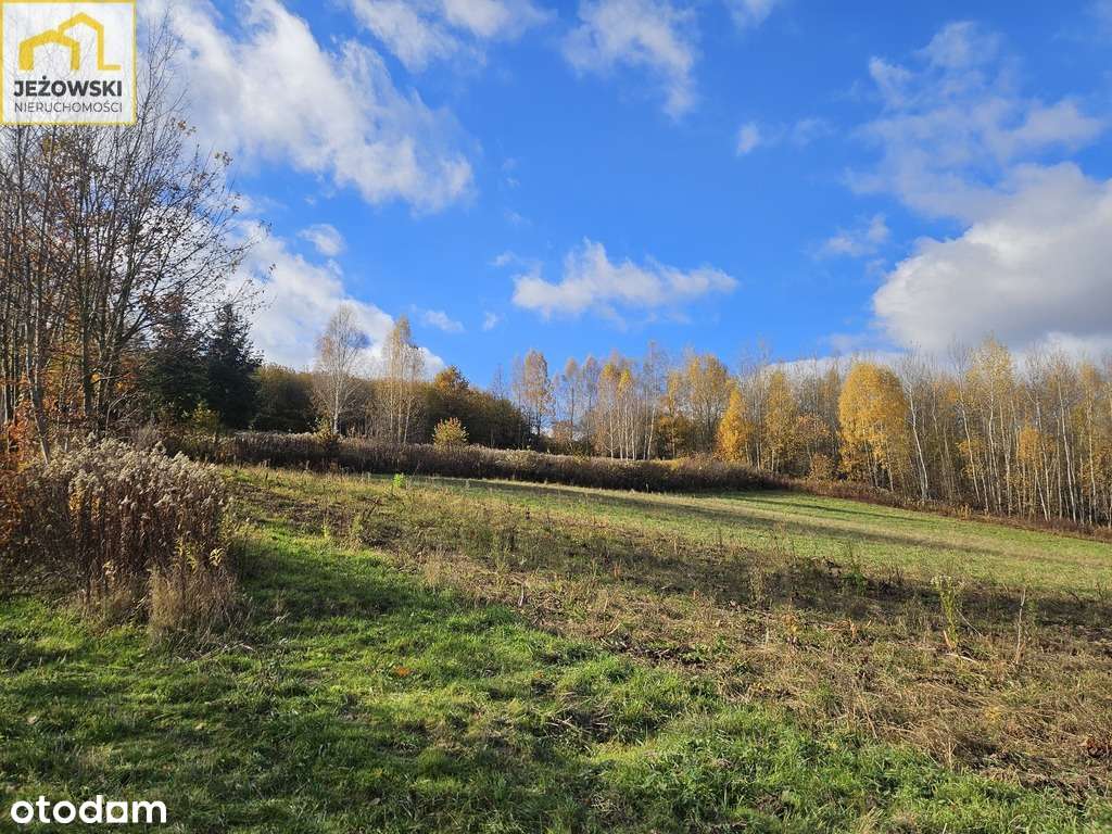 Widokowa działka 36 arów,  5 km od Rynku. - Pełny obrazek: 5/19