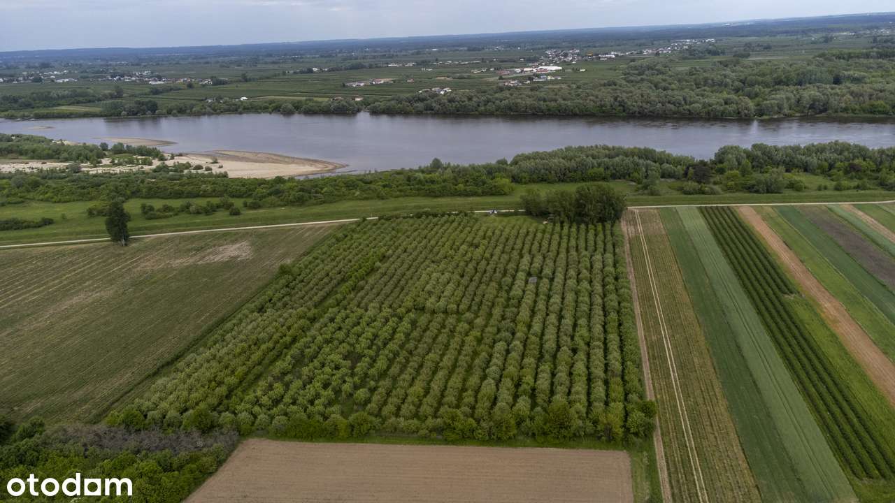 Na sprzedaż działka gruntowa 4,7424 HA - Kolonia Boiska-1