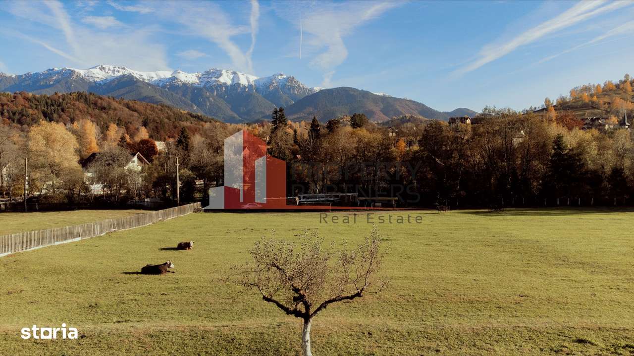 Teren Moieciu 8206 mp - Oportunitate de investitie-3