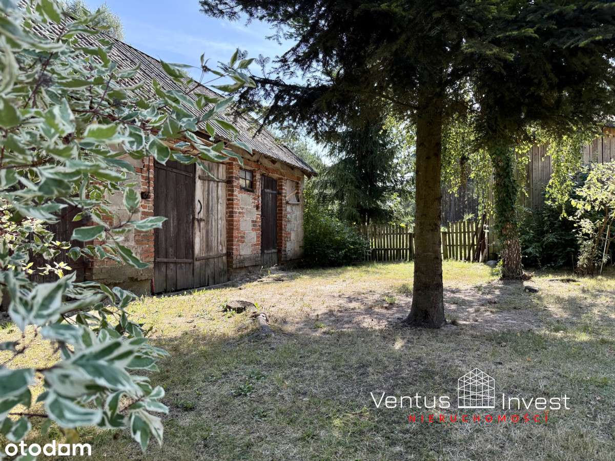 Siedlisko z działką budowlaną – 10 min od Mińska - Pełny obrazek: 2/15