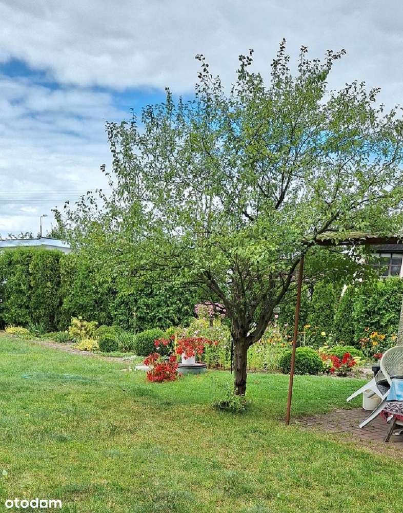 ROD RELAKS - Szwederowo - Pełny obrazek: 4/6