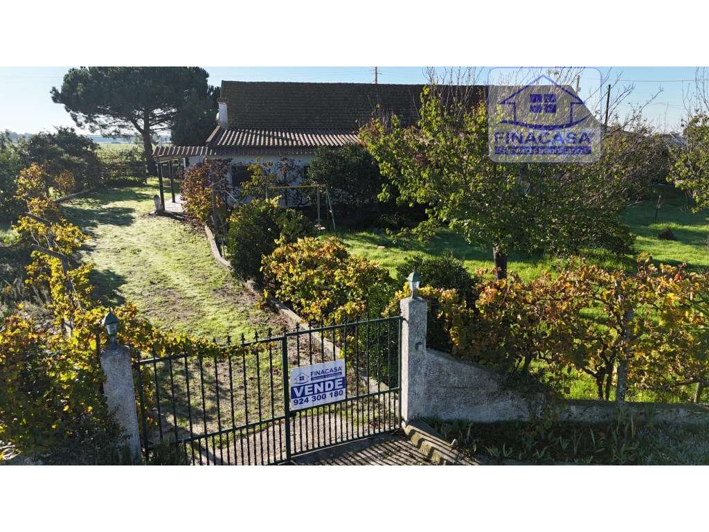EXCLUSIVO - Quinta com 2069 m2, T1 e um armazém - Asseiceira(Palmela)-48