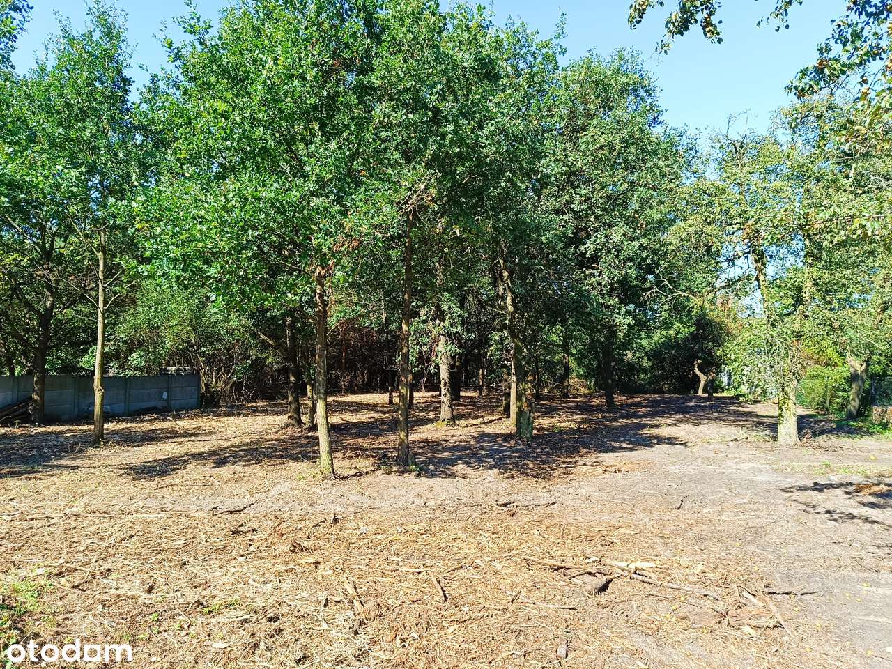 Działka w centrum Mosiny | Piękny widok | brak prowizji-3