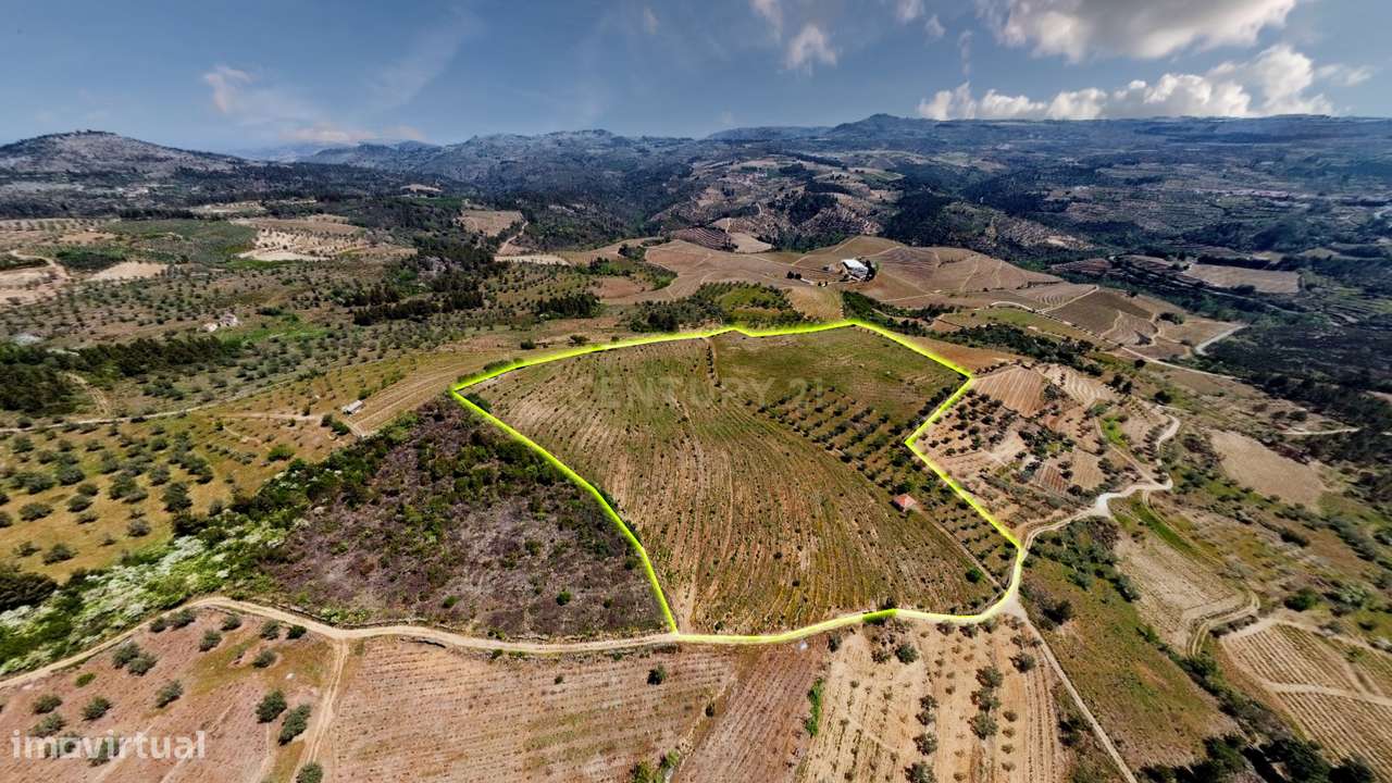 Terreno com 75230 m2 em Sendim - Tabuaço | Viseu - Grande imagem: 4/21
