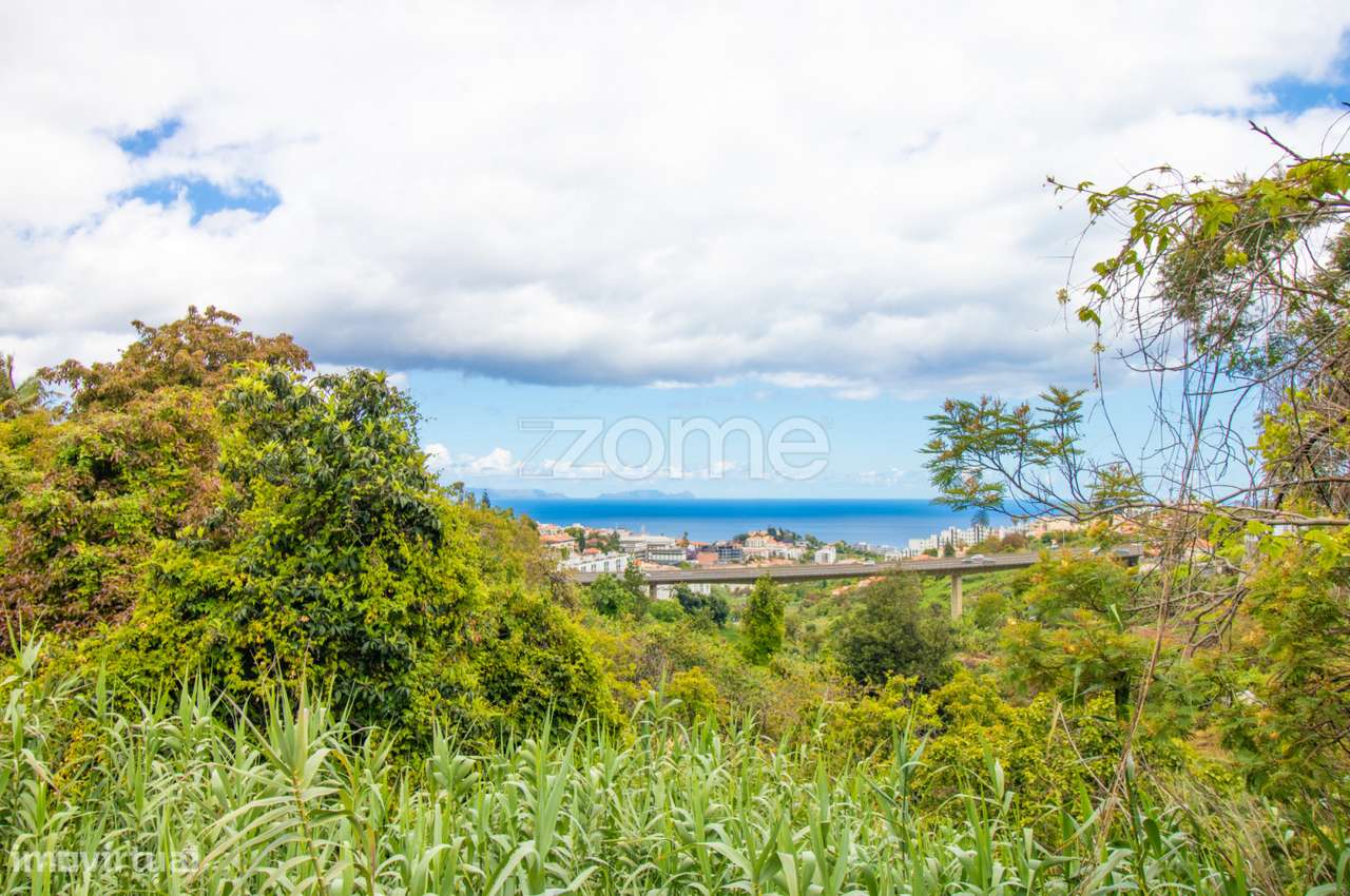 Terreno urbano na Quinta do Leme, Santo António - Grande imagem: 3/12