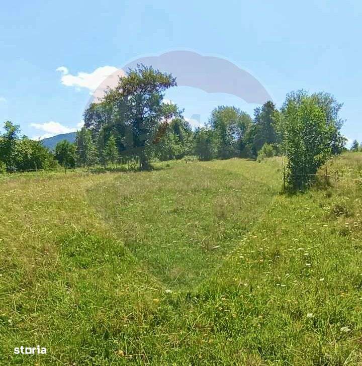 Teren 1,915mp Breb / Drumul Principal - Imagine principală: 2/5