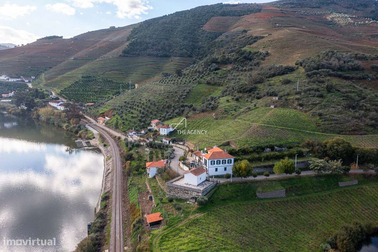 Quinta da Capela, uma propriedade produtora de vinho de 16 hectares j - Grande imagem: 4/28