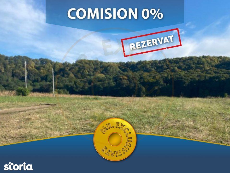 Teren pretabil investitie Budeasa 4880 mp - comision 0%