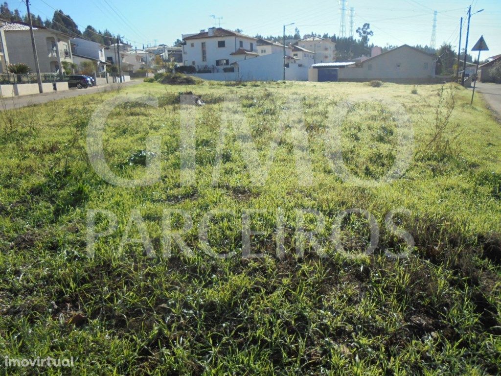 Terreno Avelãs de Caminho