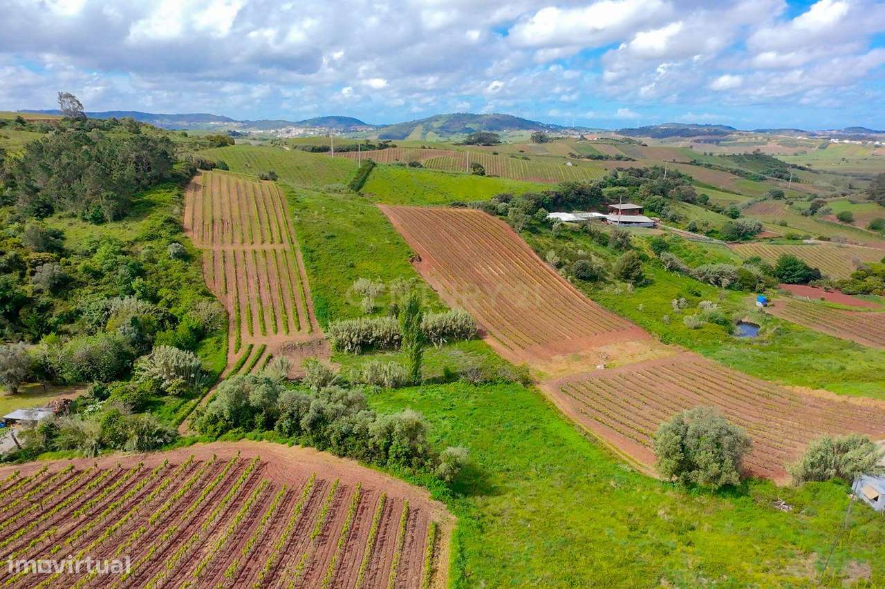 Moradia de charme totalmente renovada com vista aberta sobre vinhas e-27