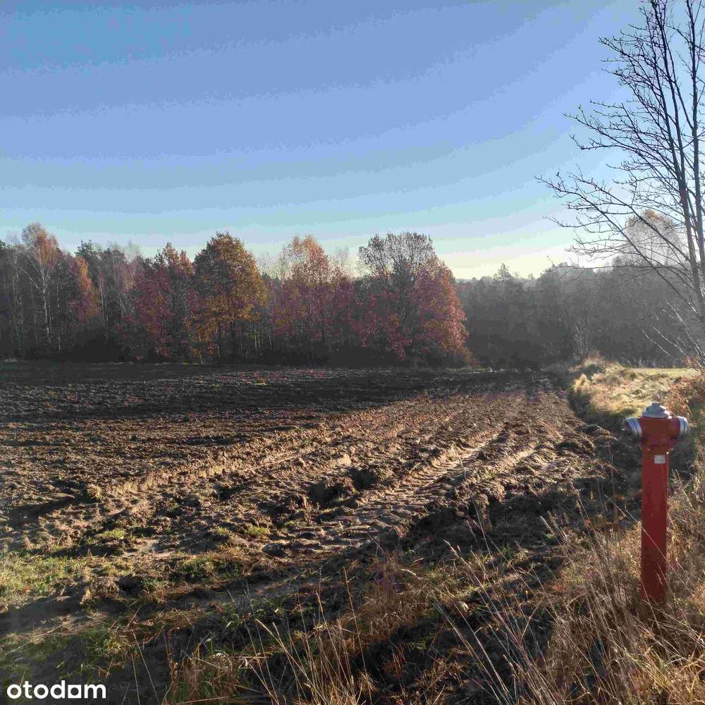 Działki od 1005-1190 m2  Las,jezioro,S6 WZ, Bojano,Koleczkowo,Szemud - Pełny obrazek: 5/9