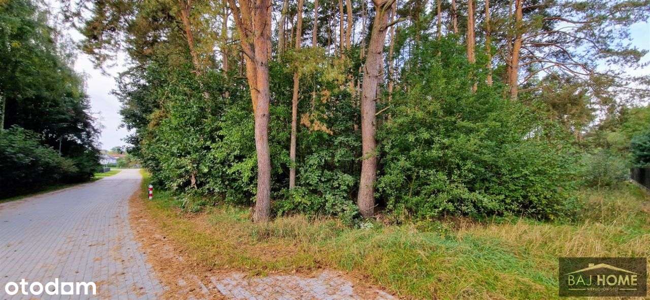 Działka na sprzedaż Grupa; gmina Dragacz - Pełny obrazek: 4/7