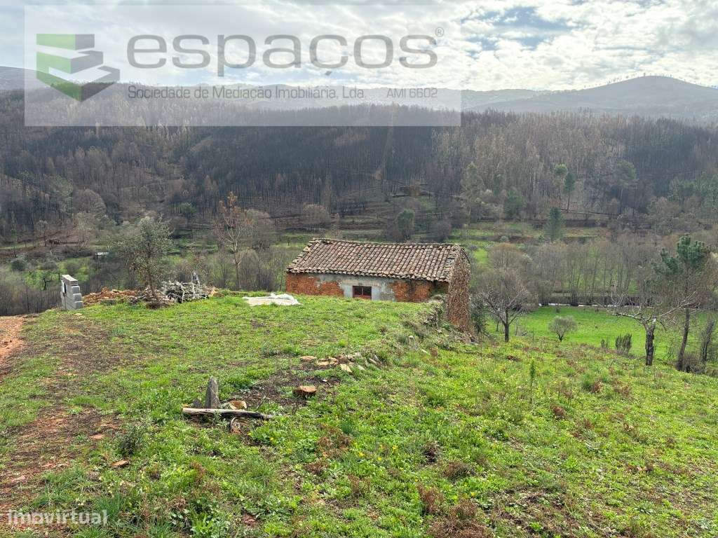 Magnifica Quinta - Grande imagem: 5/31