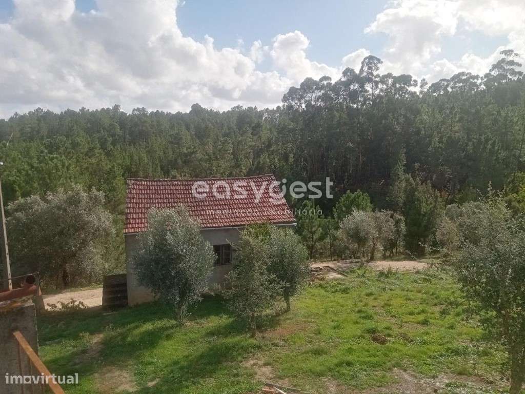 Excelente Quinta Ecológica com paisagem edílica em Oleiros - Grande imagem: 5/28