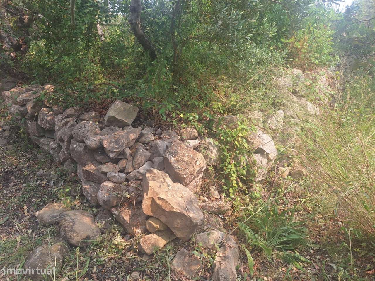 Terreno Rústico em Bordeira-6