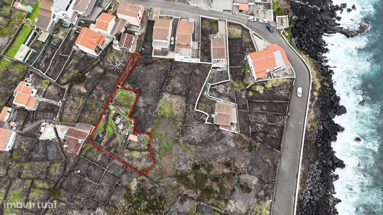 Terreno com Frutais e Horta na Ilha Terceira - 55.000€ - Grande imagem: 3/6