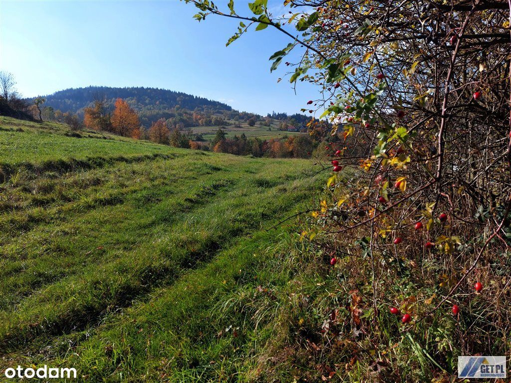 14 a budowlane + 14800 m2 lasów Skomielna Czarna