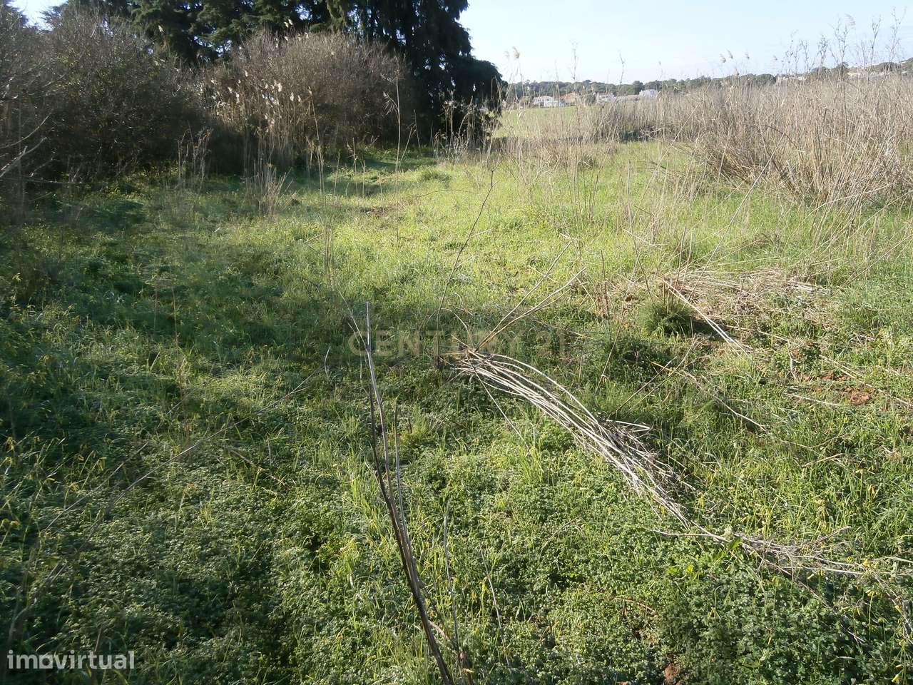 Terreno Rústico com 3340m2. - Grande imagem: 4/6
