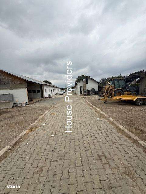 Vanzare  2 Hale Spatii Industriale Puchenii Mari - Imagine principală: 5/10