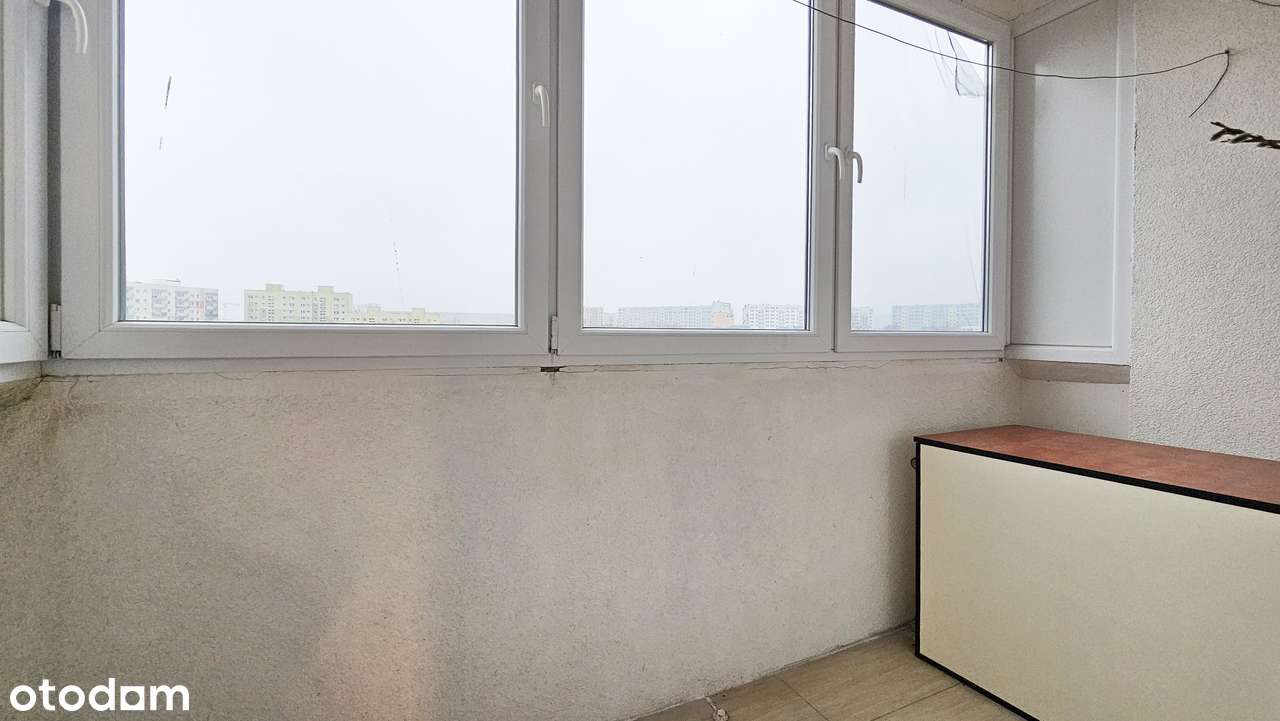 Zaspa, 2 pokoje z osobną kuchnią-11