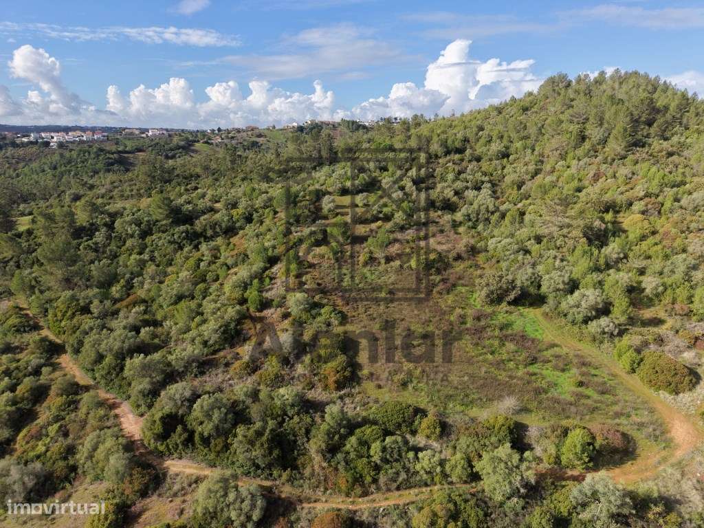 Oportunidade Única de Investimento Agrícola em Alenquer-19