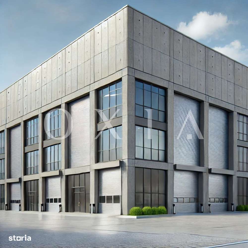 AX1132 Calea Sagului, Platforma Industriala, 7.387 MP - Imagine principală: 4/6