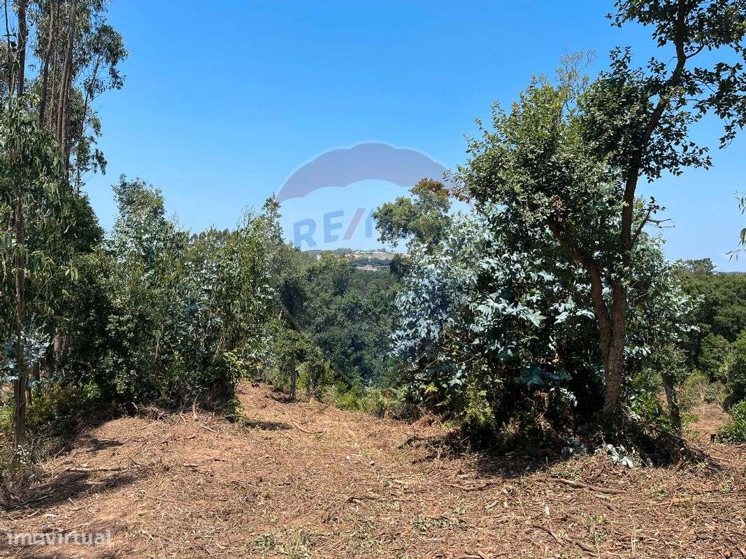 Terreno  para venda - Grande imagem: 3/11