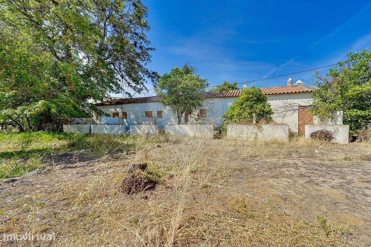 Investimentos T21 para venda - Grande imagem: 5/21