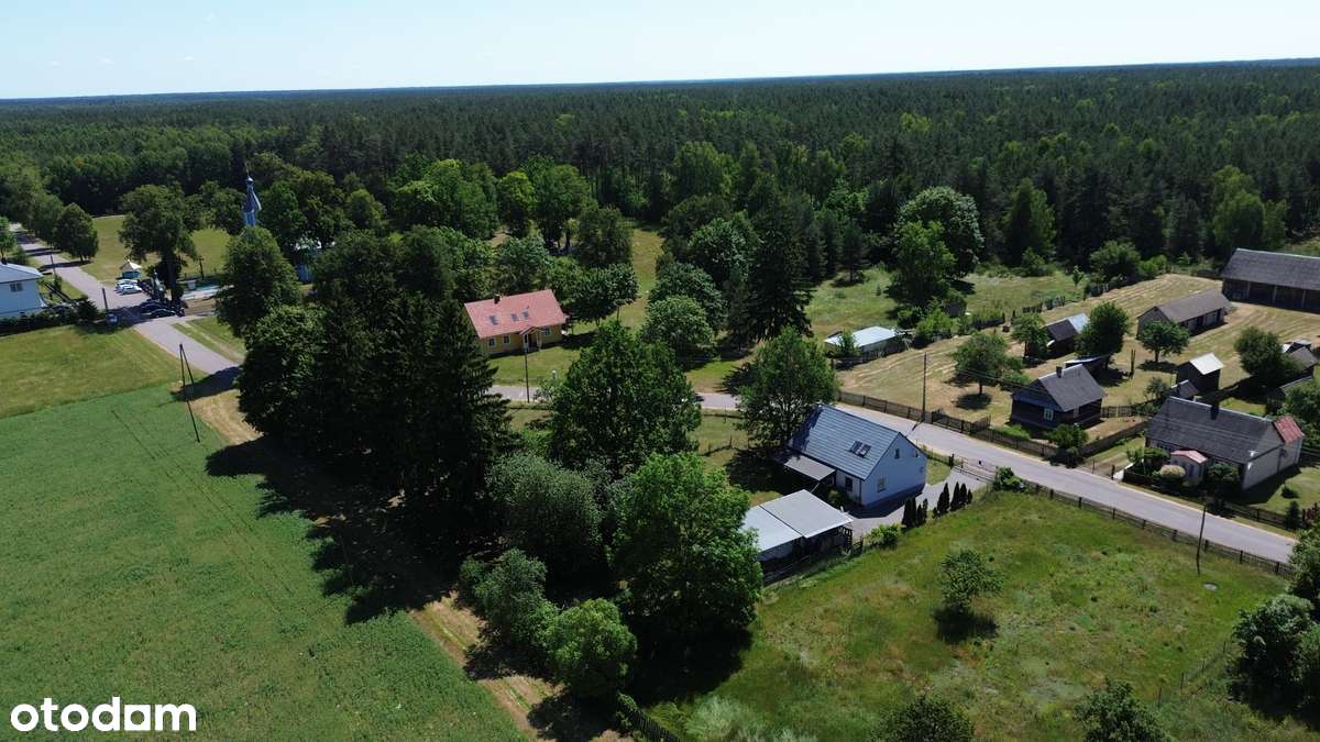 Werstok - spokojna wieś w Puszczy Białowieskiej - 120 m2 pow. domu! - Pełny obrazek: 2/20