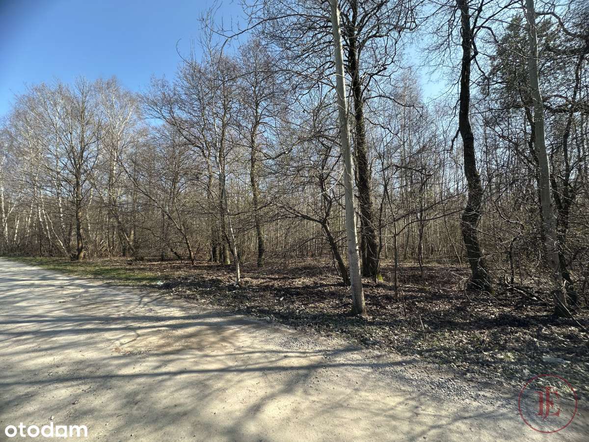 Potencjał inwestycyjny- przy trasie S14 i łsse - Pełny obrazek: 4/4