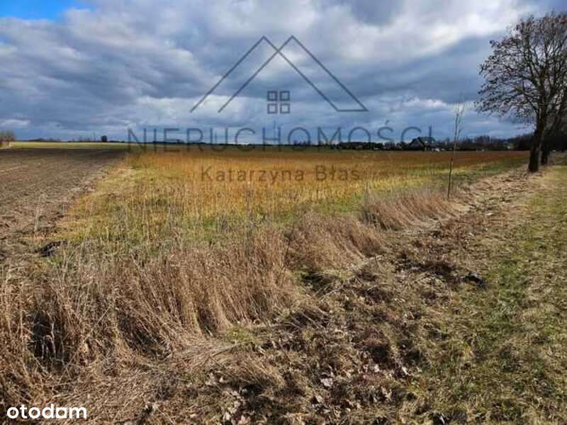 Działka budowlana w Białej-12