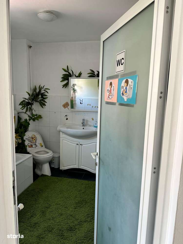 SPATIU COMERCIAL DOMENII, LOC PARCARE, CENTRALA, MOBILAT/UTILAT, CURTE - Imagine principală: 3/20