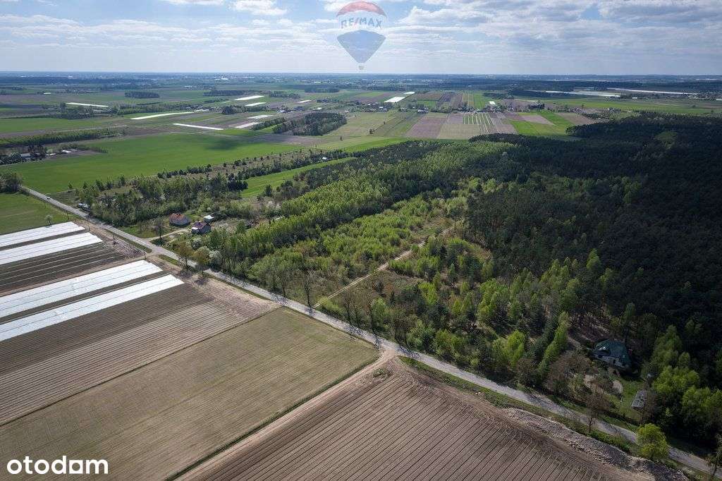 Działki z wydanymi warunkami zabudowy w Ludwikowie - Pełny obrazek: 4/10