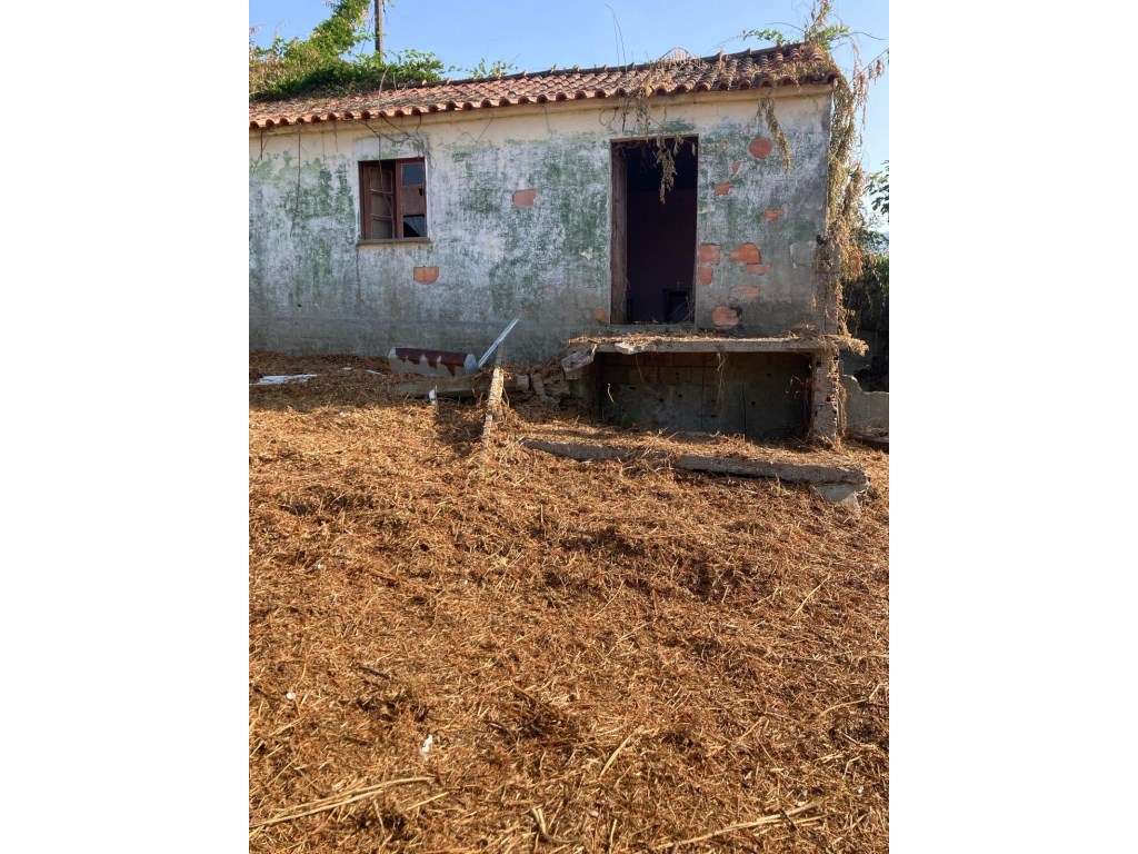 Moradia para Recuperar com Terreno de 800m² - Brandara, Ponte de Lima-3