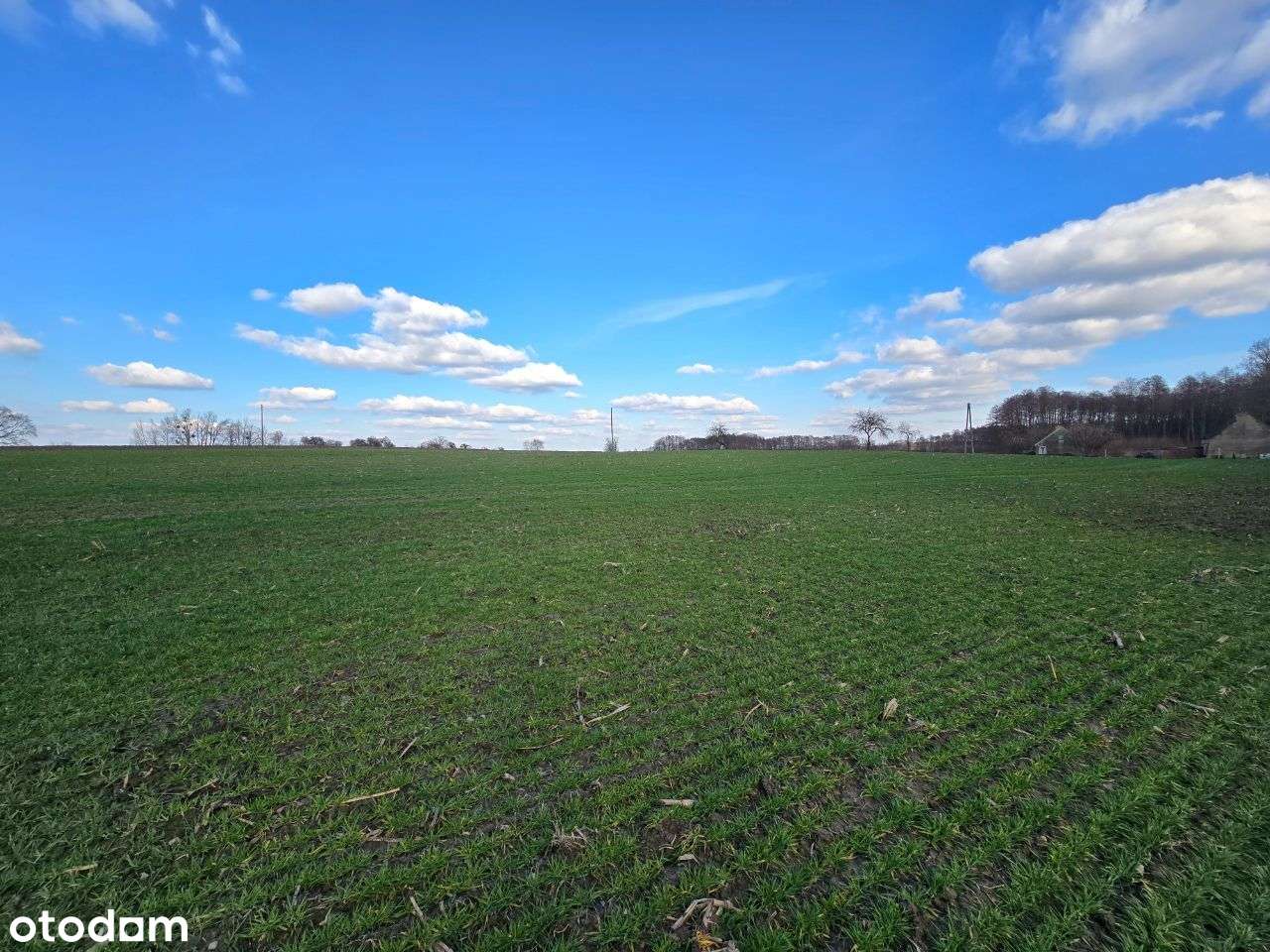 Działki w Jarosławkach 2 z 8szt po 50zł/m2-1