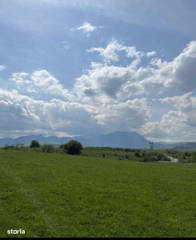 Teren superb cu PUZ in zona Panicel Rasnov spre Bran - Imagine principală: 2/3