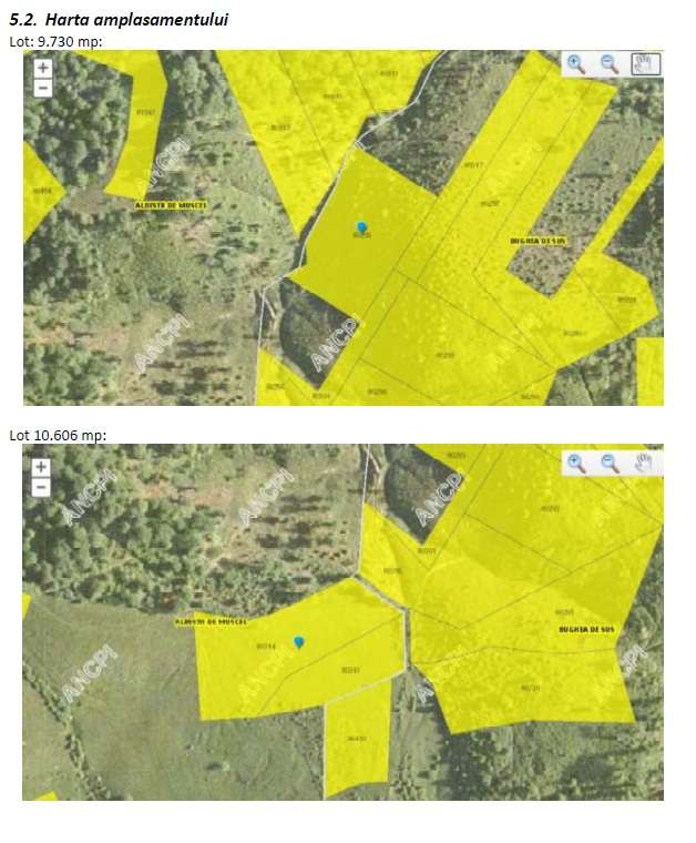 Terenuri extravilane Bughea de Sus si Albestii de Muscel Arges - Imagine principală: 4/5