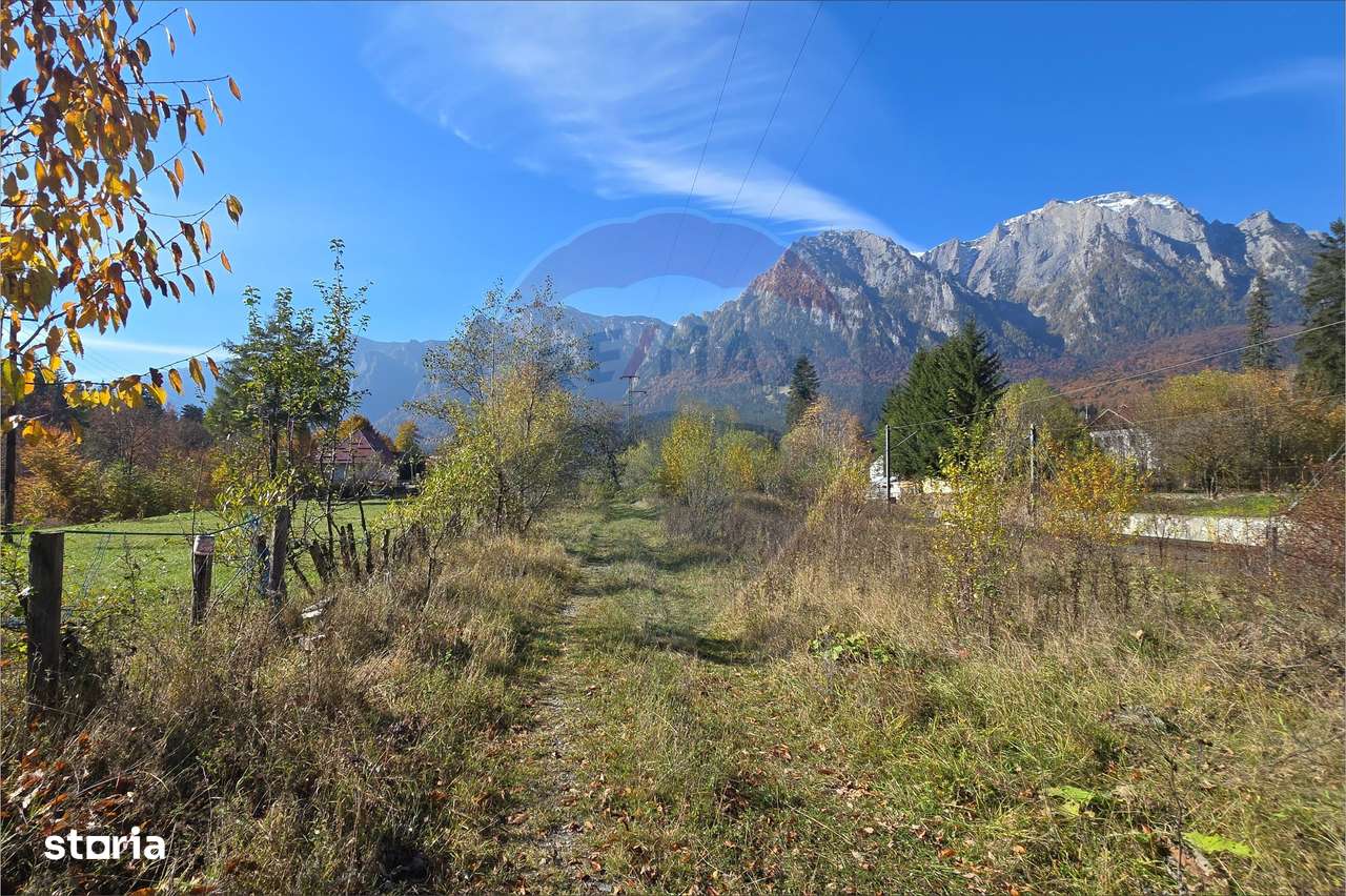 Teren intravilan cu vedere spectaculoasă spre Crucea Caraiman - Imagine principală: 4/10