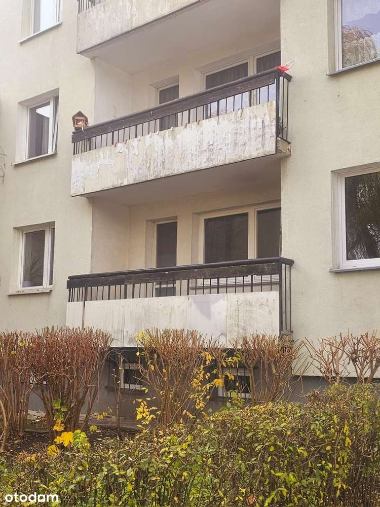 Niedrogi lokal w stanie deweloperskim. Media miejskie. Niski czynsz.-10