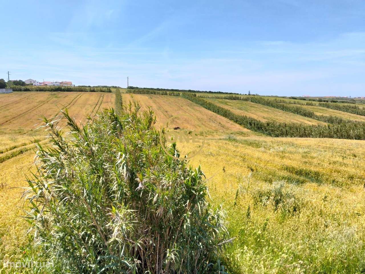 Terreno com PIP Aprovado para Loteamento – Casal da Barreira, Torres V - Grande imagem: 3/29
