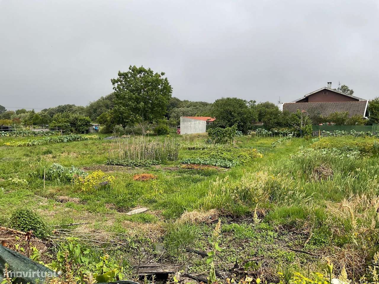 Terreno Aprovado para Projeto em Viana do Castelo - Grande imagem: 3/12