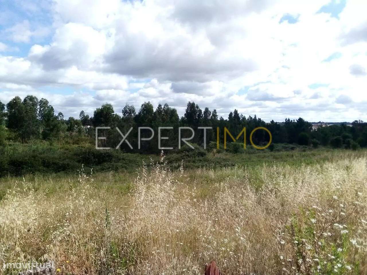 Terreno Manique do Intendente Azambuja com 2,6 hectares - Grande imagem: 5/19