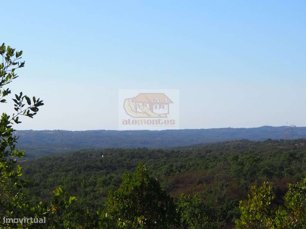 Monte Alentejano com várias ruínas para recuperar - 20 minutos Lago...-3