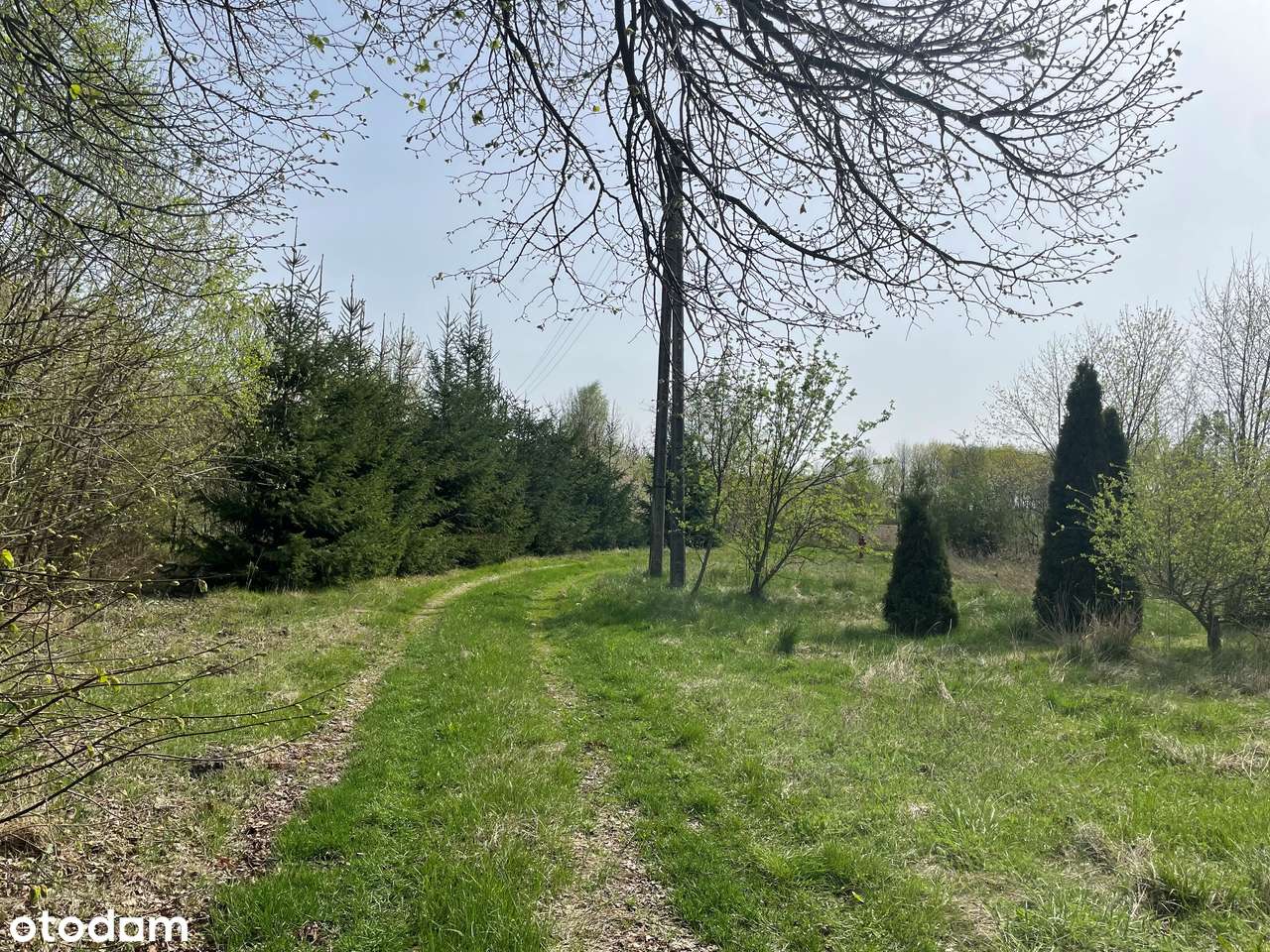 Nosarzewo-Borawe, dz. 111/2 zabudowana budynkiem niemieszkalnym-0