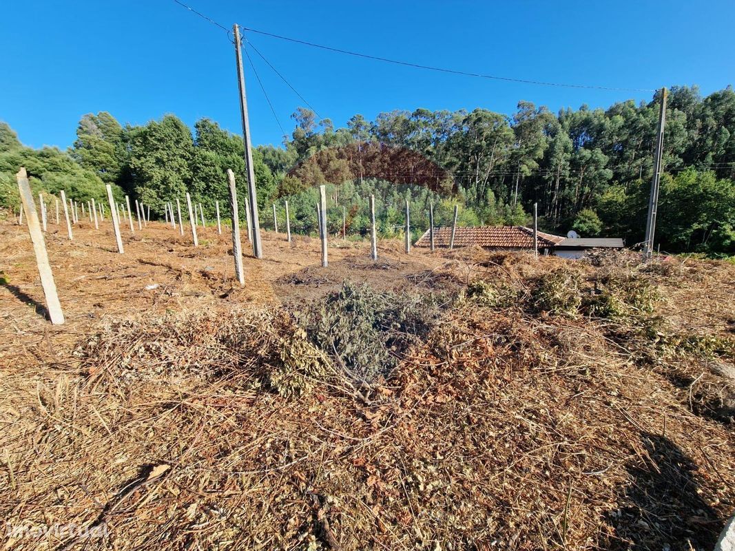 Terreno  para venda